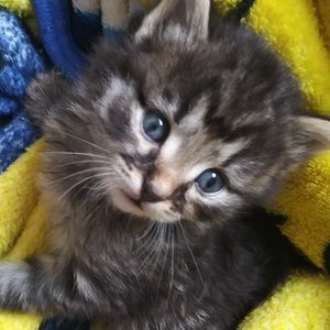 Meet your Posher, Bianca